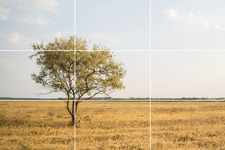 Rule of Thirds in Photography [4 Tips for Mastery]