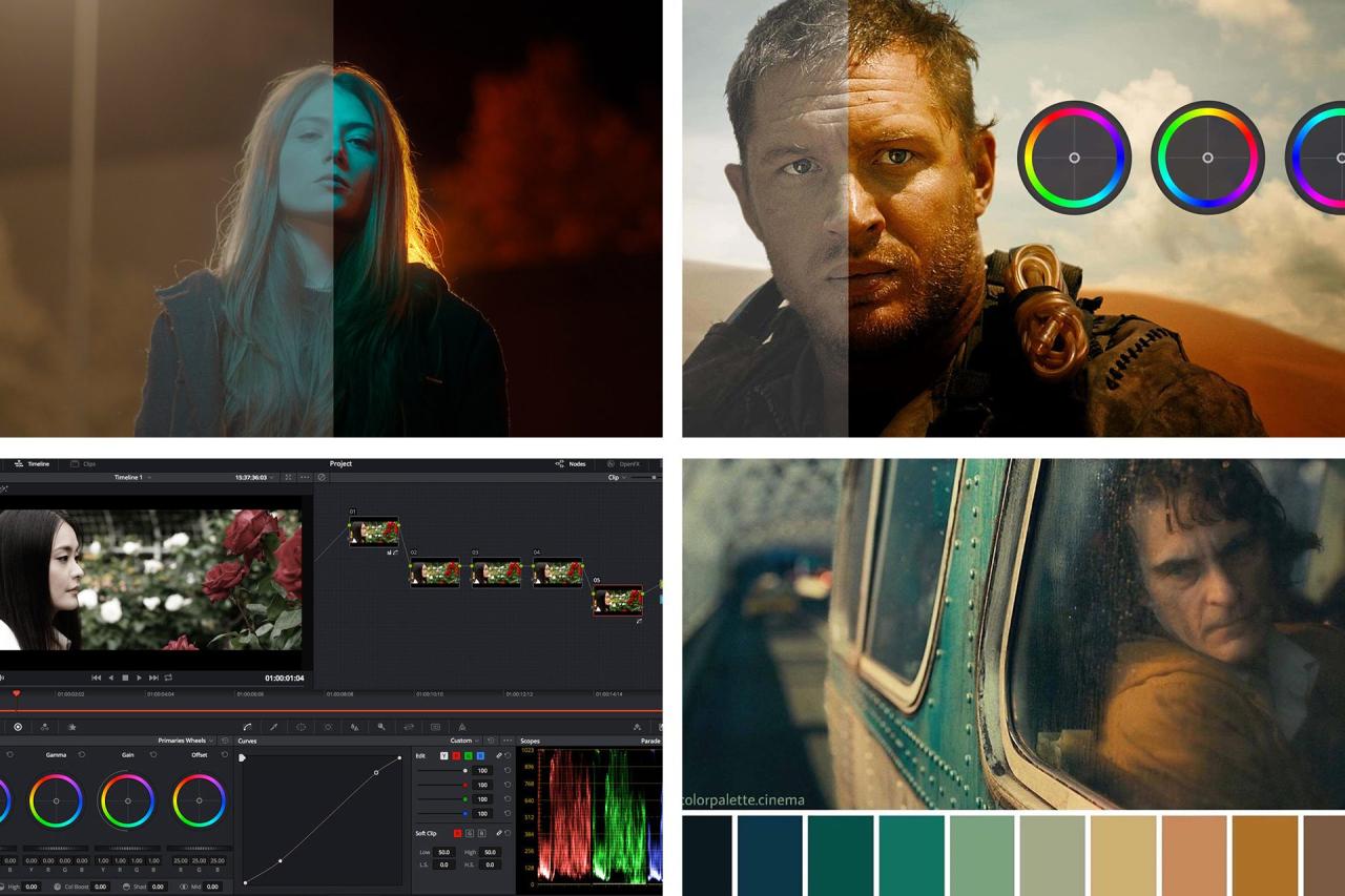 Learn Color Grading with these 10 Online Courses - The Fordham Ram Learn Color Grading with these 10 Online Courses - The Fordham Ram