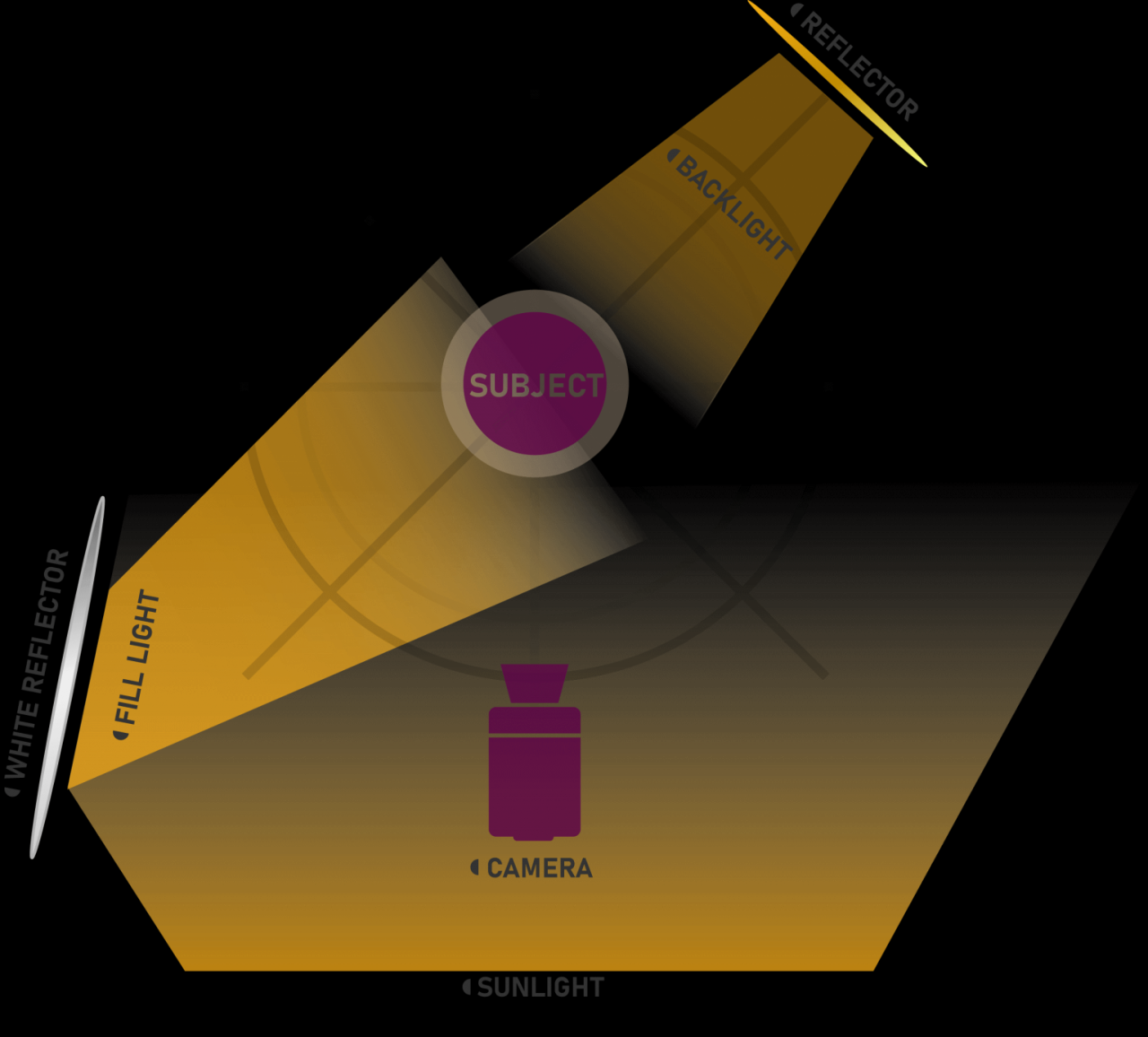How to Set Up a Basic 3-Point Lighting System