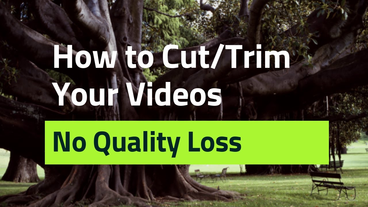 How to Cut Video with the Best Video Trimmers of All Time How to Cut Video with the Best Video Trimmers of All Time