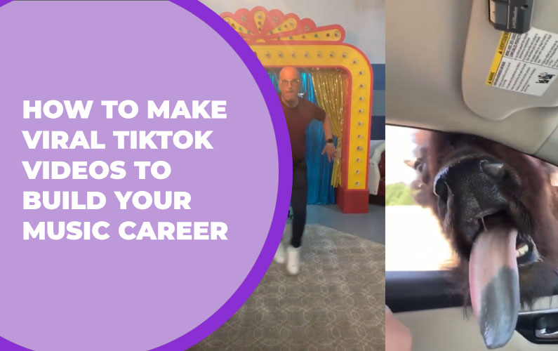 How to Make Viral TikTok Videos to Build Your Music Career - David ... How to Make Viral TikTok Videos to Build Your Music Career - David ...